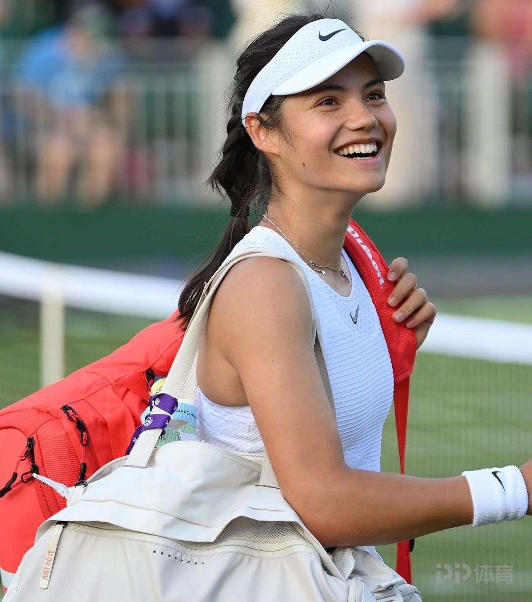 一桩引援 一桩引援