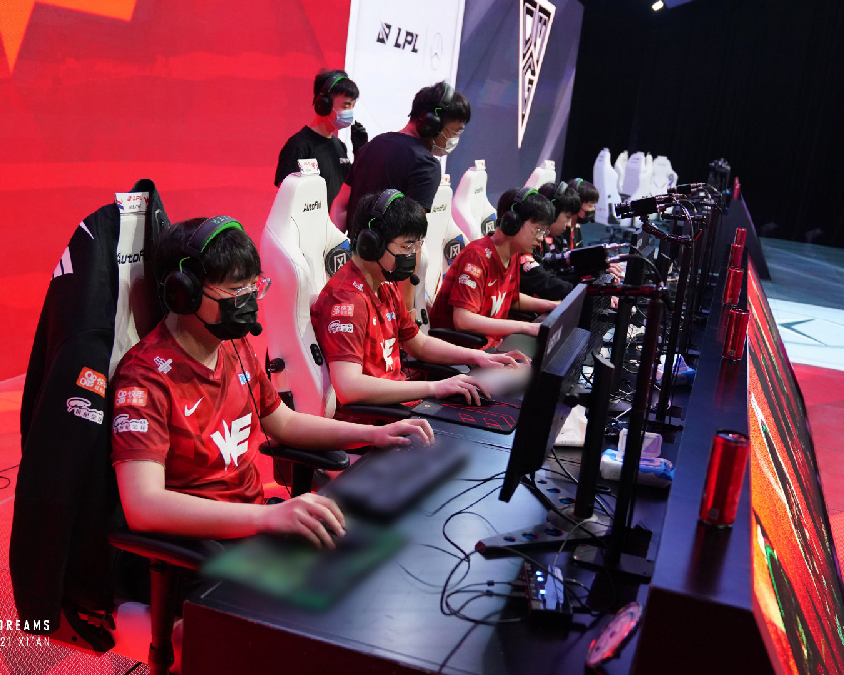 福冈黄蜂本 福冈黄蜂本